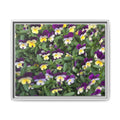 Pansy Field Framed Matte Canvas Print