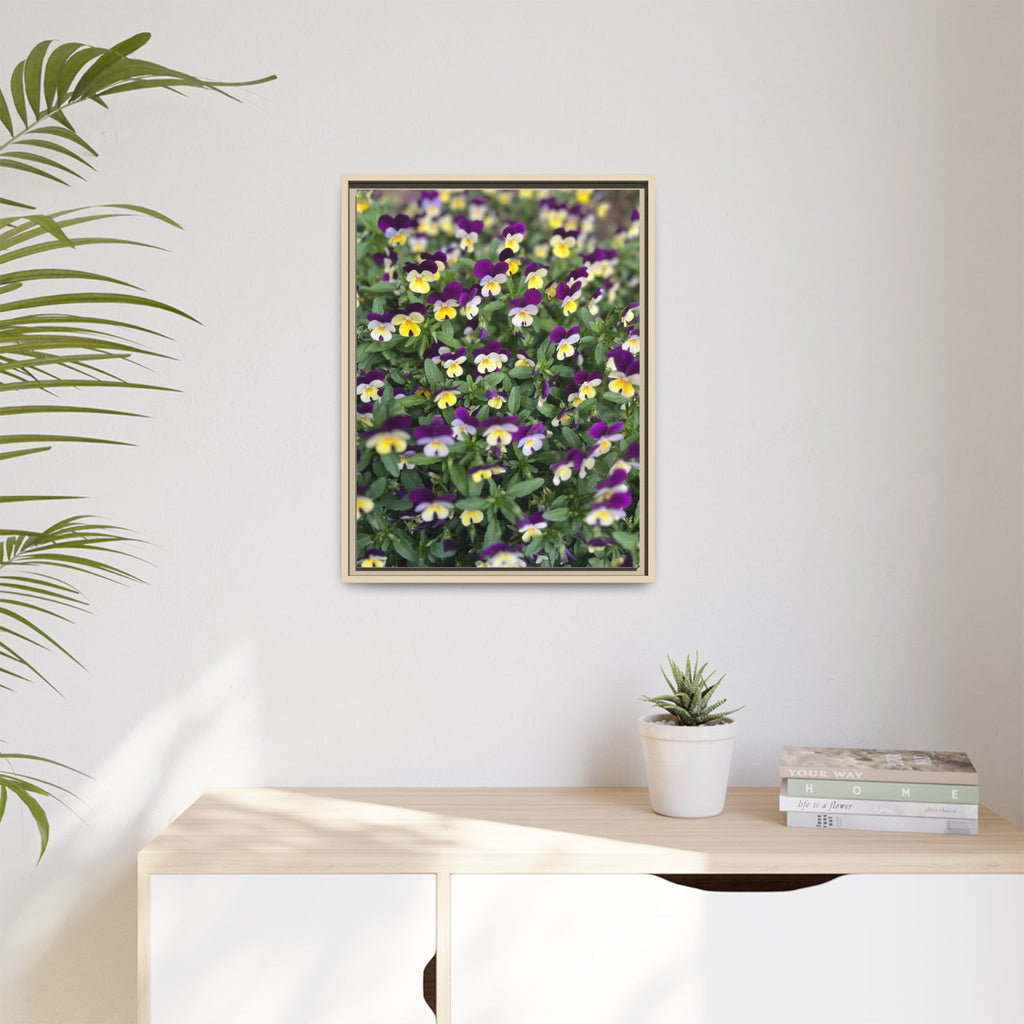 Pansy Field Framed Matte Canvas Print