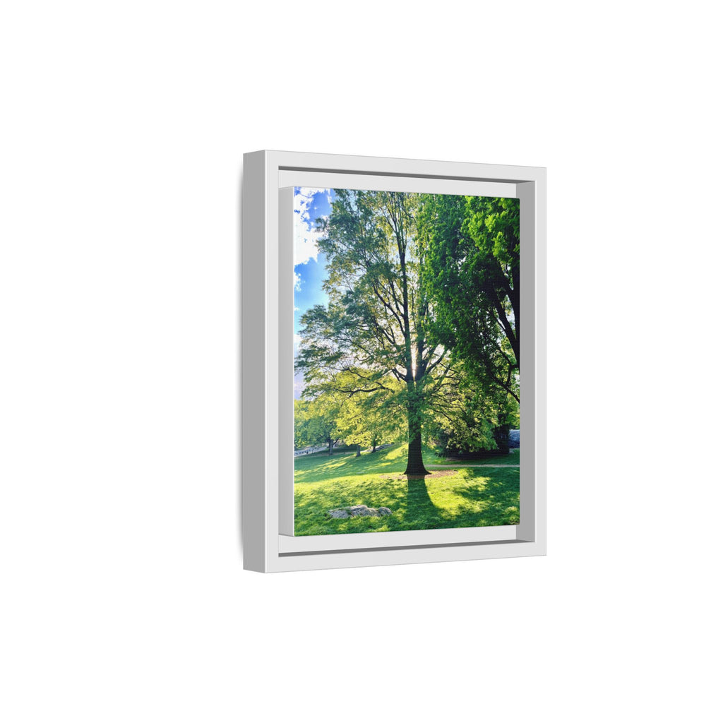 Framed Matte Canvas Wall Art — Sunlit Park Tree Landscape