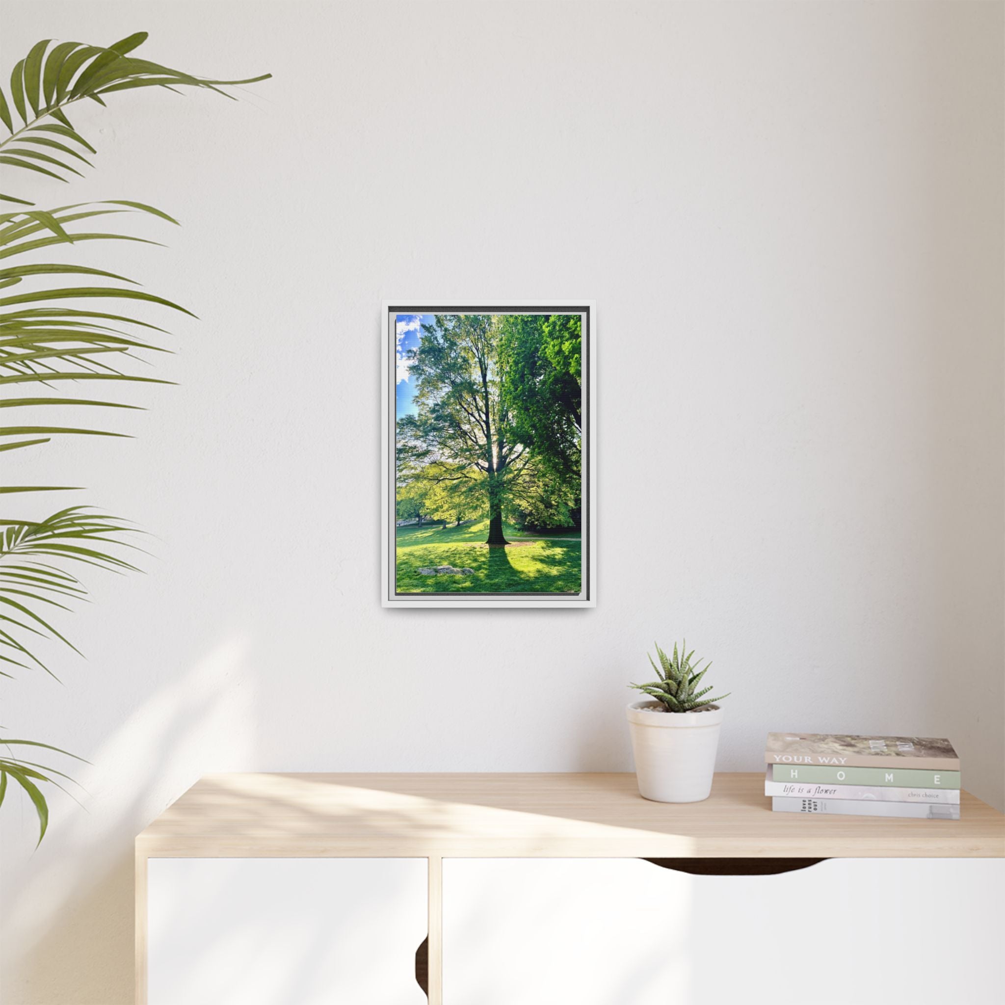 Framed Matte Canvas Print — Sunlit Park Tree Photography