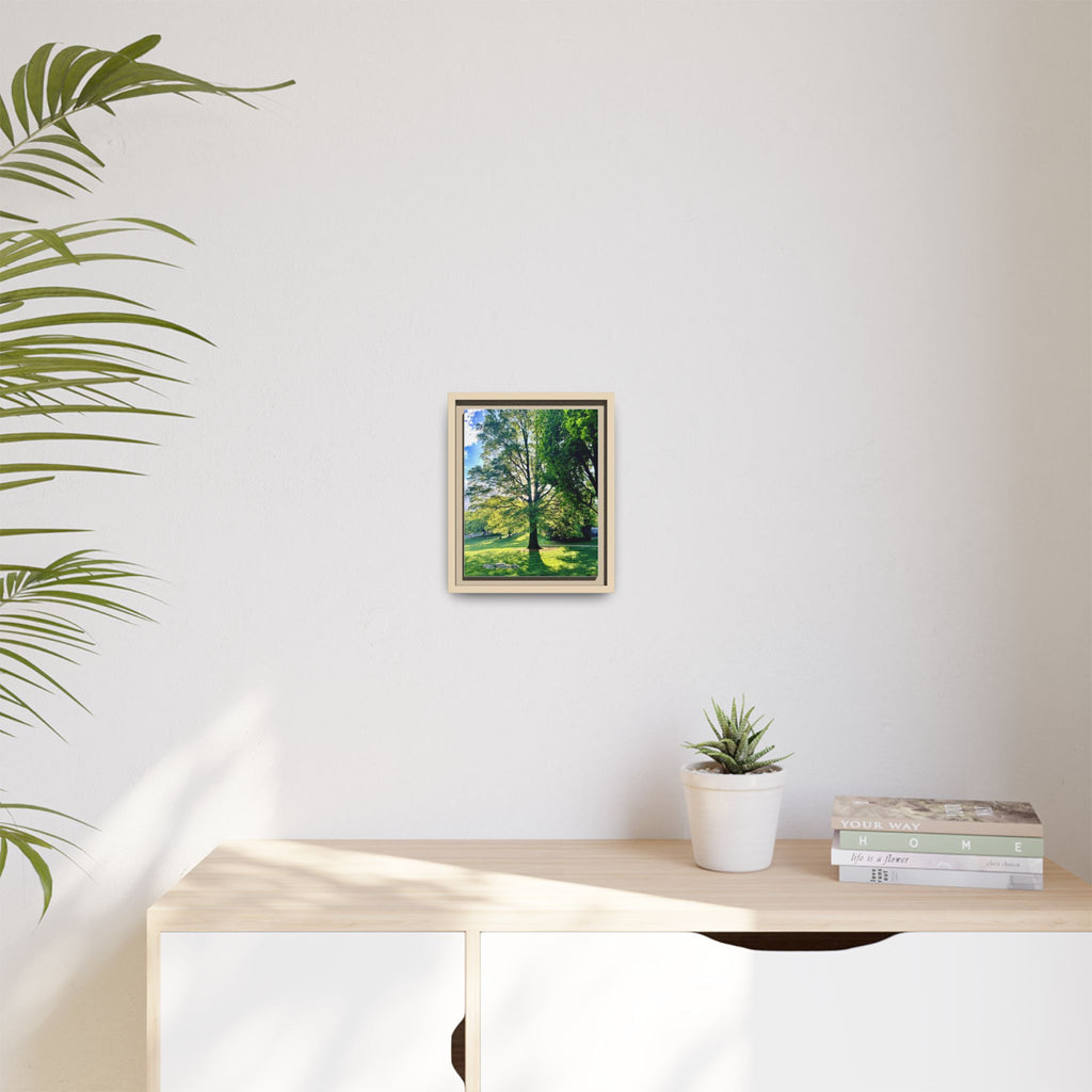 Framed Matte Canvas Wall Art — Sunlit Park Tree Landscape