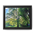 Framed Matte Canvas Wall Art — Sunlit Park Tree Landscape