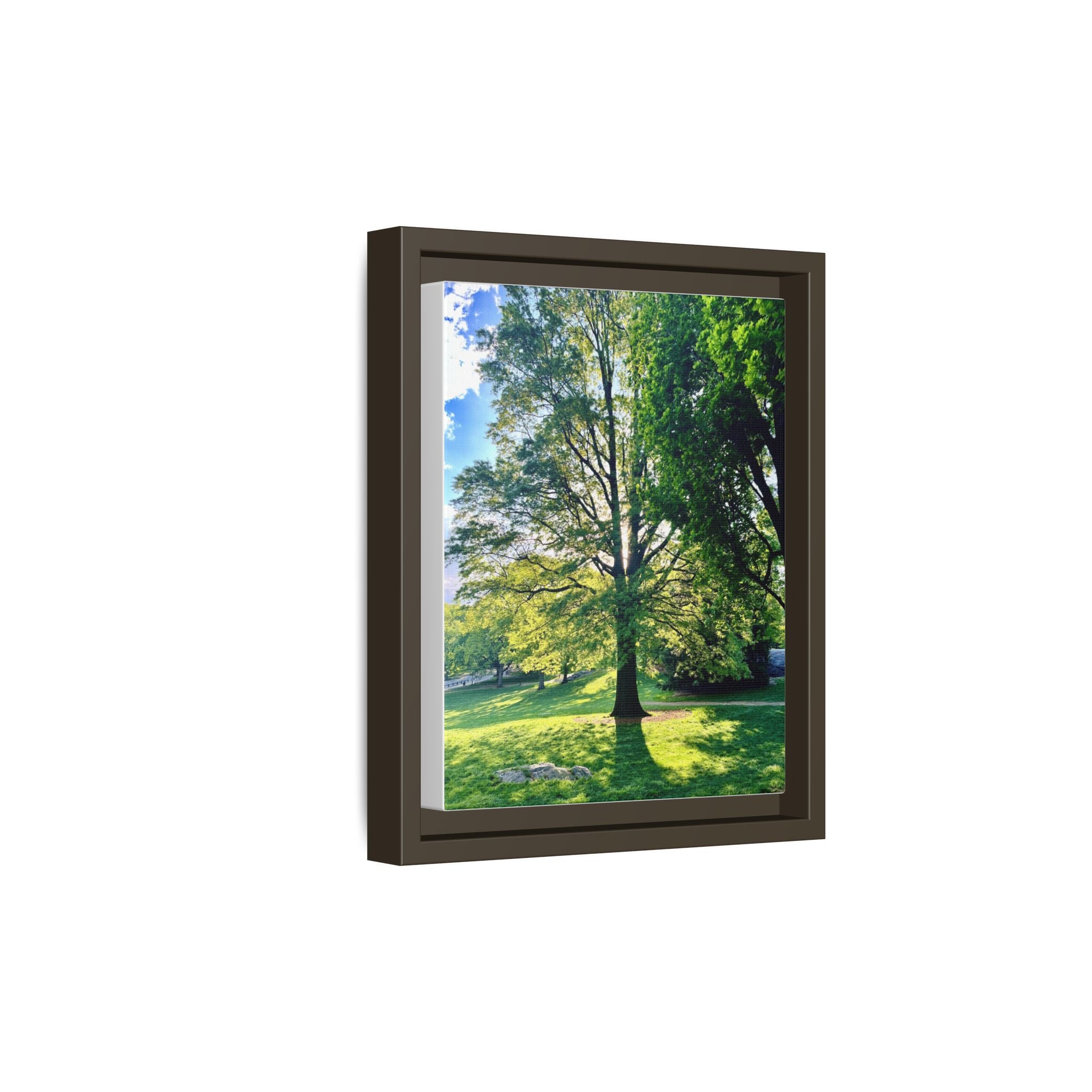 Framed Matte Canvas Wall Art — Sunlit Park Tree Landscape