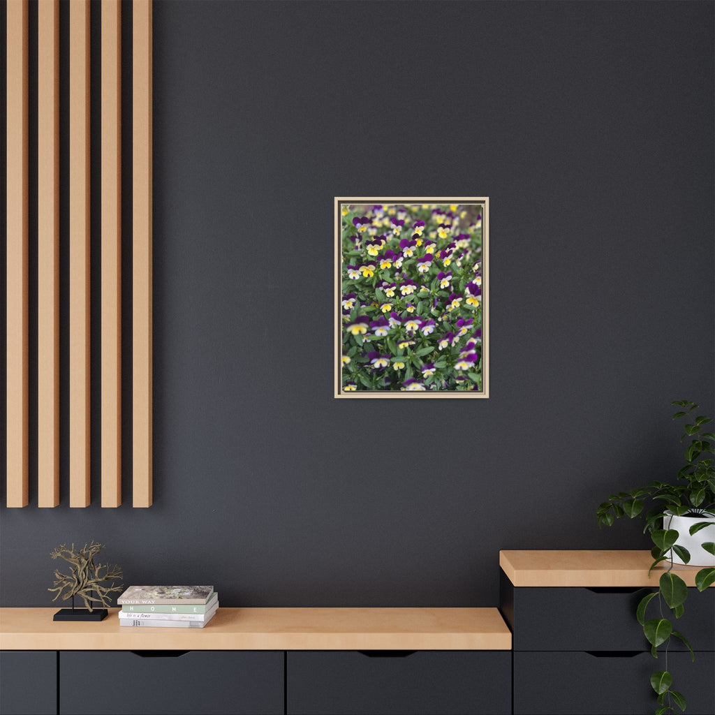 Pansy Field Framed Matte Canvas Print