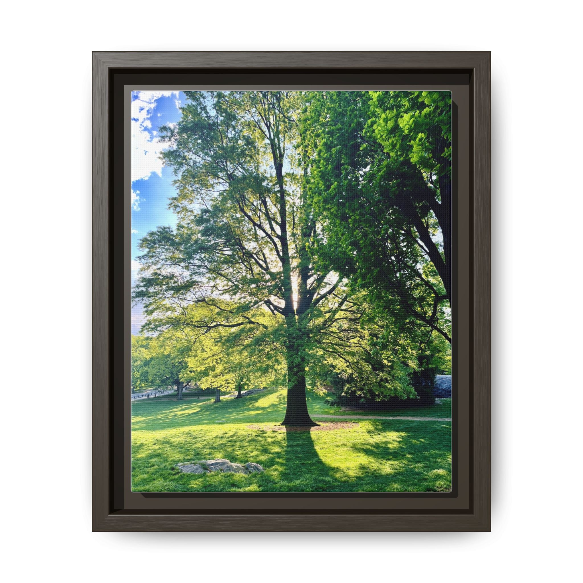 Framed Matte Canvas Wall Art — Sunlit Park Tree Landscape