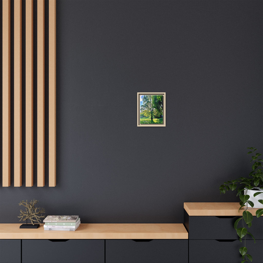 Framed Matte Canvas Wall Art — Sunlit Park Tree Landscape