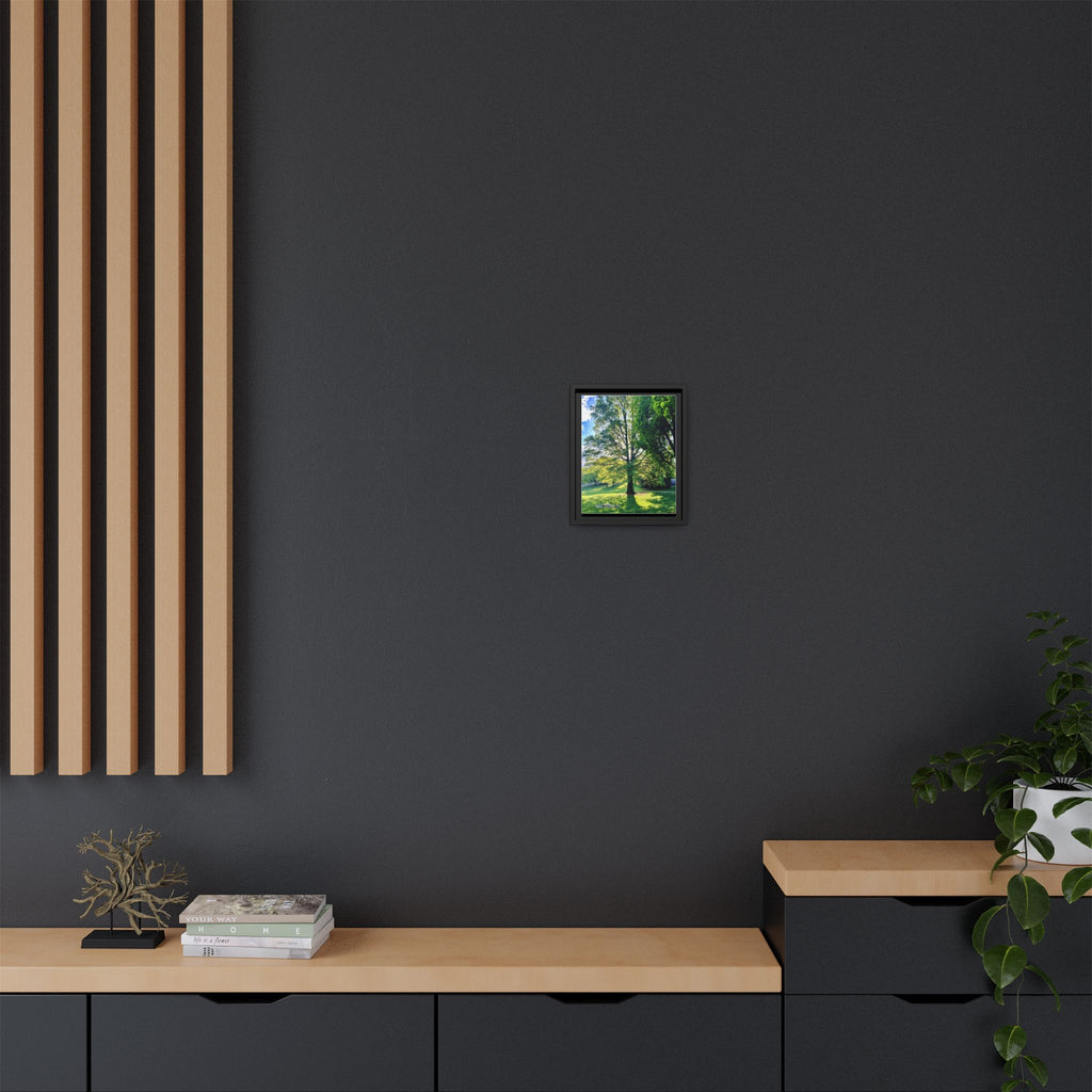 Framed Matte Canvas Wall Art — Sunlit Park Tree Landscape