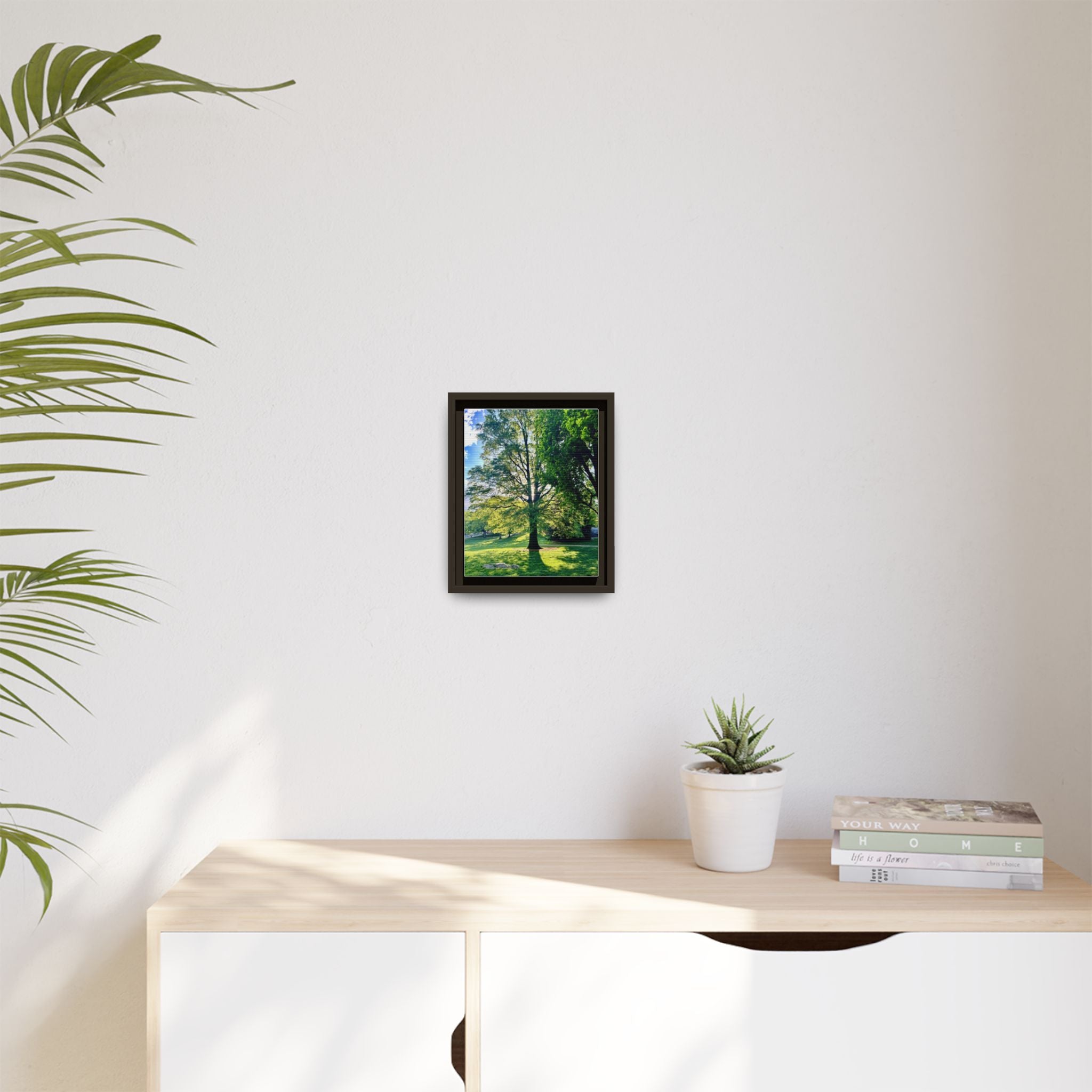Framed Matte Canvas Wall Art — Sunlit Park Tree Landscape