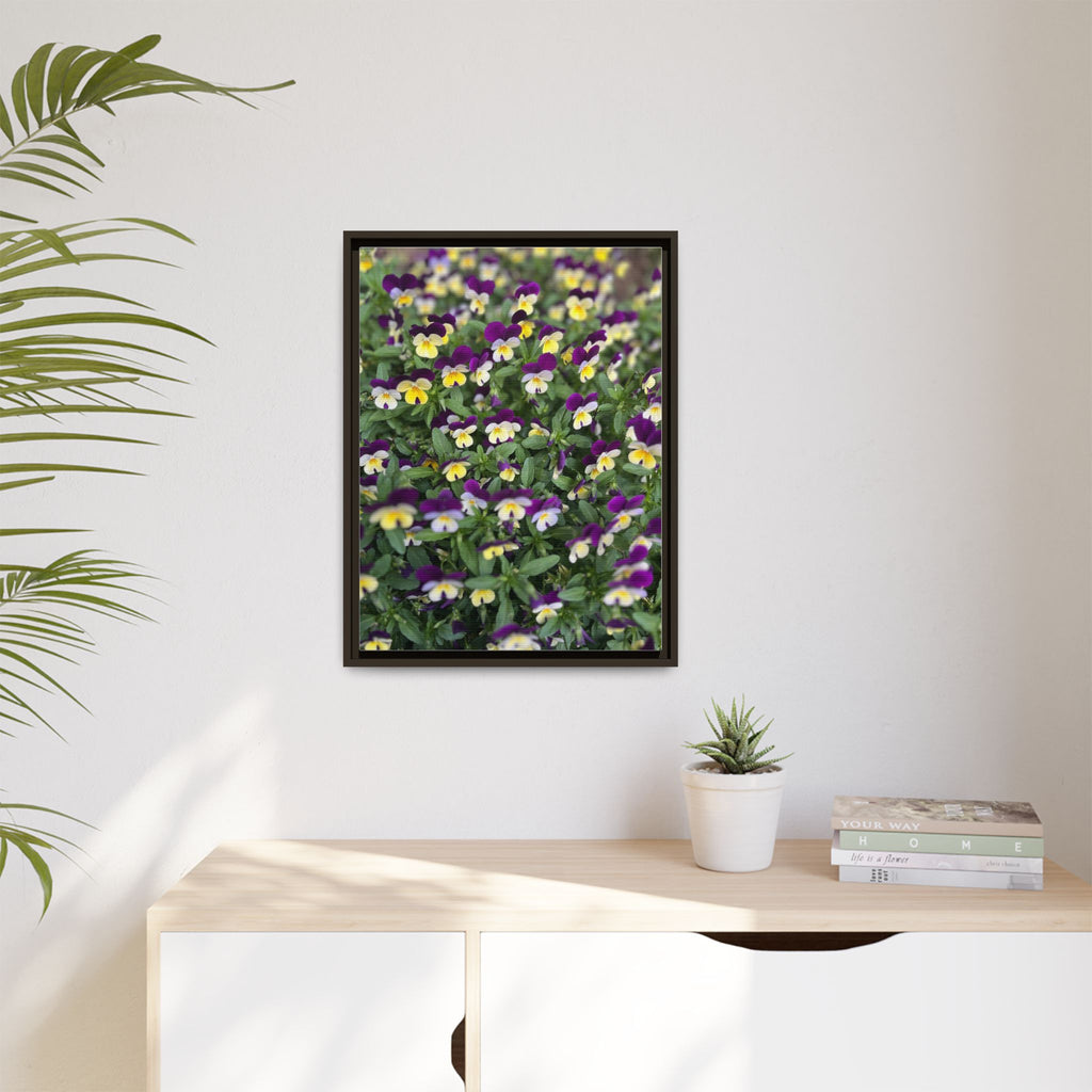 Pansy Field Framed Matte Canvas Print