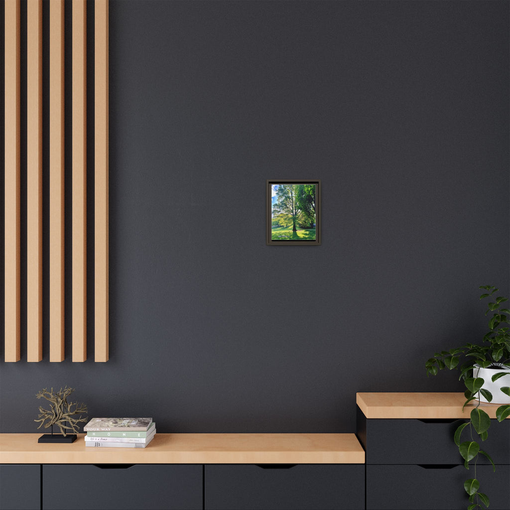 Framed Matte Canvas Wall Art — Sunlit Park Tree Landscape