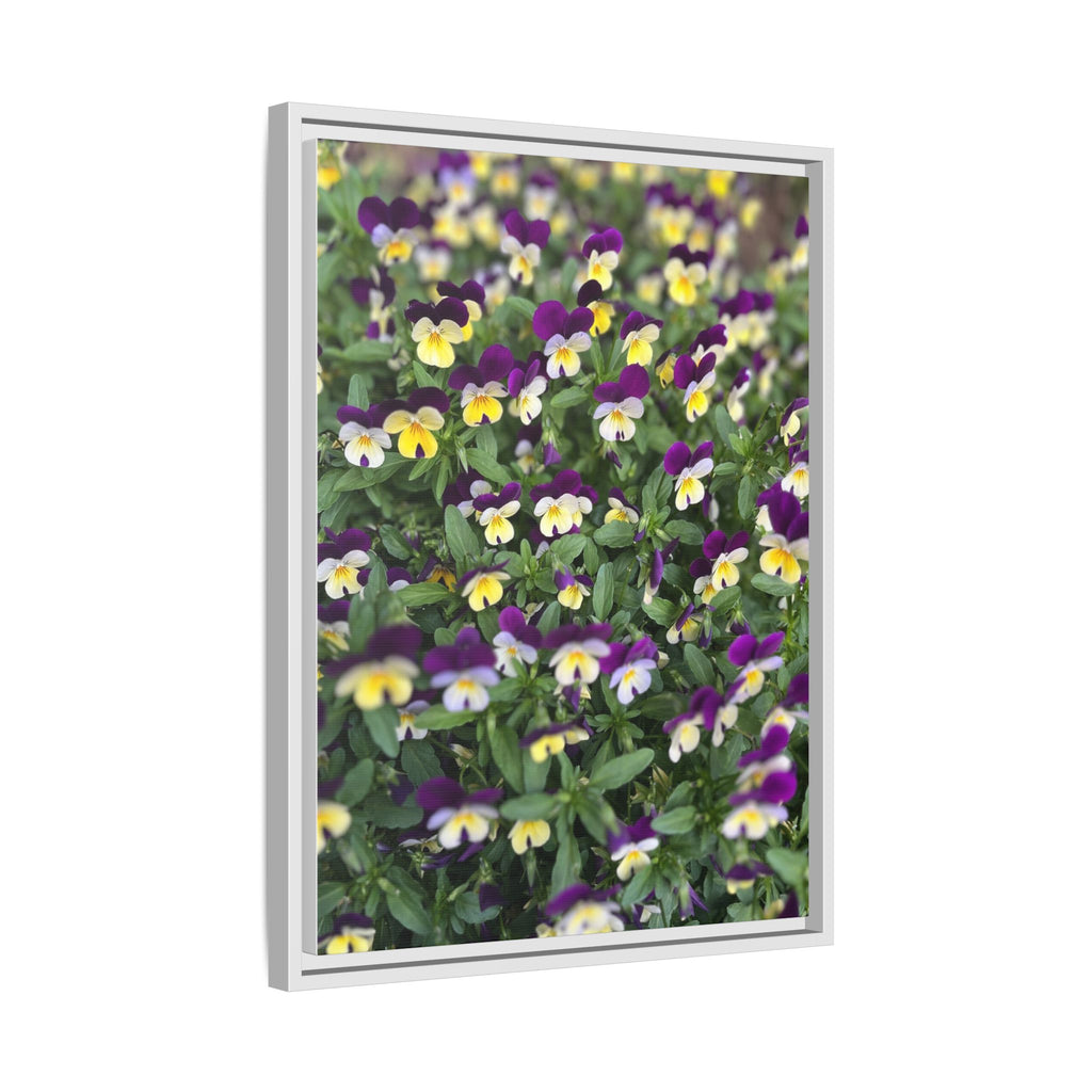 Pansy Field Framed Matte Canvas Print