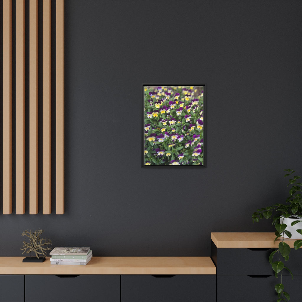 Pansy Field Framed Matte Canvas Print