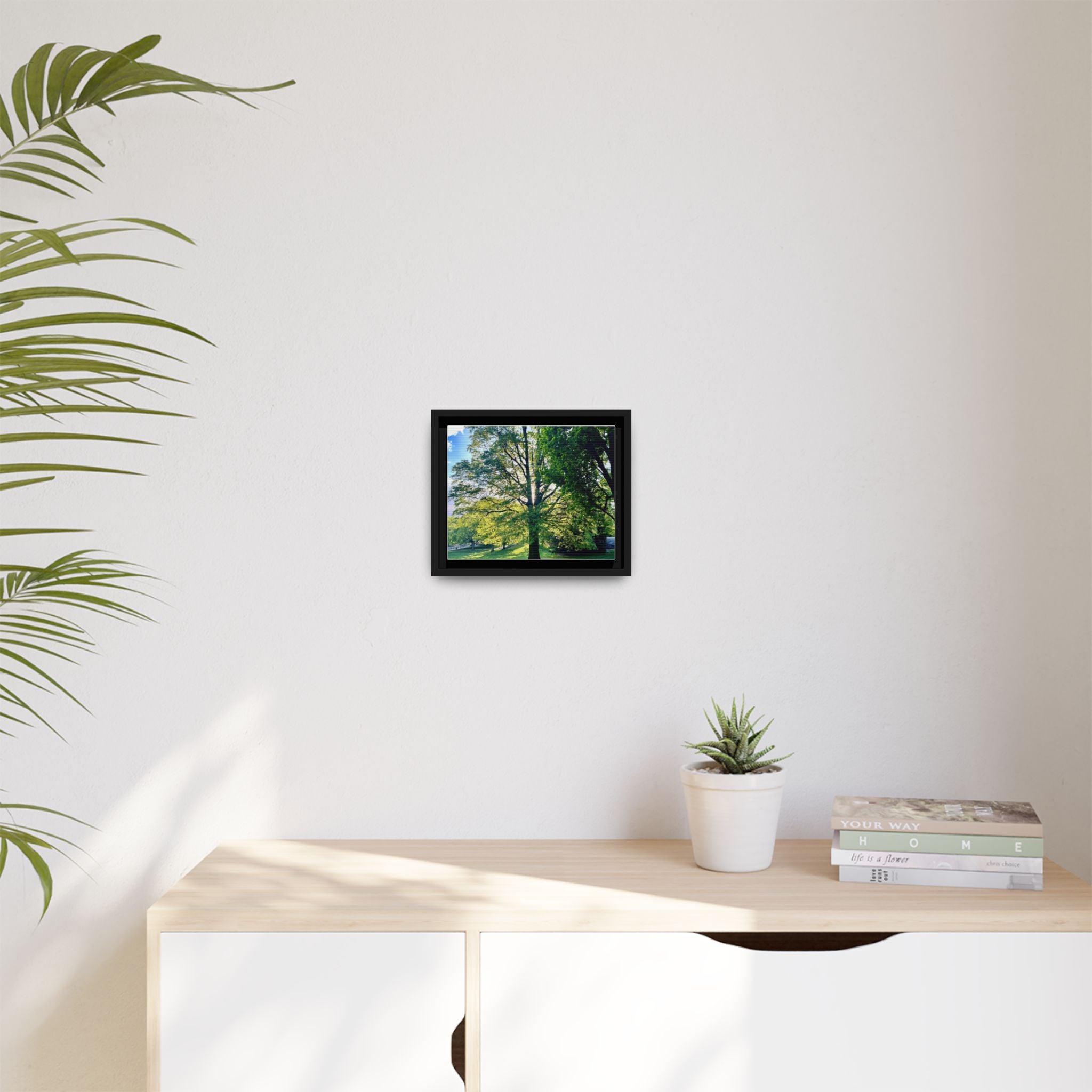 Framed Matte Canvas Wall Art — Sunlit Park Tree Landscape