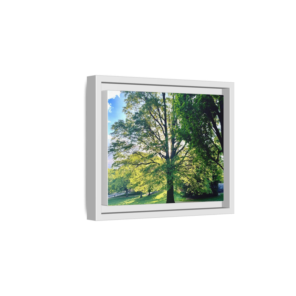 Framed Matte Canvas Wall Art — Sunlit Park Tree Landscape