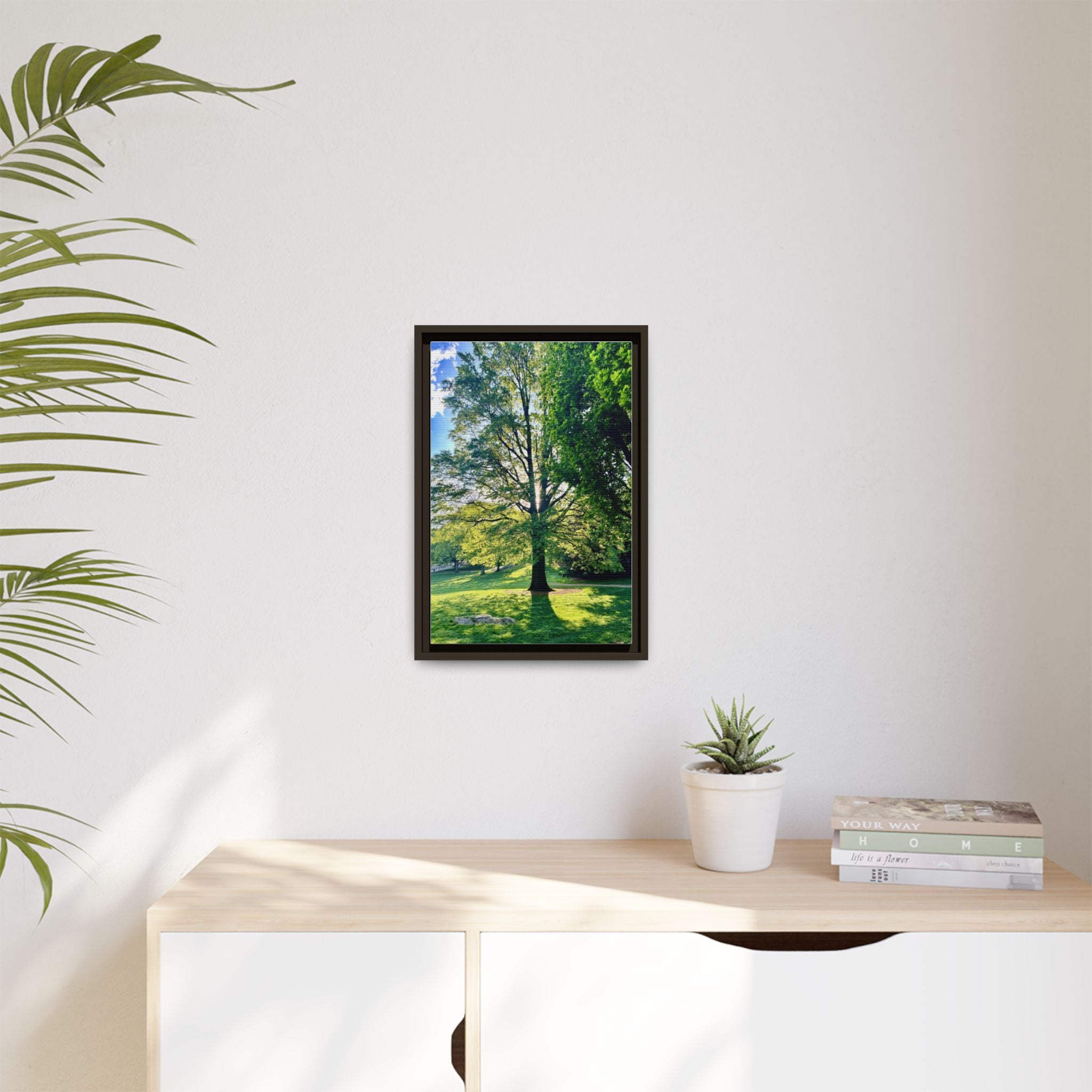 Framed Matte Canvas Print — Sunlit Park Tree Photography