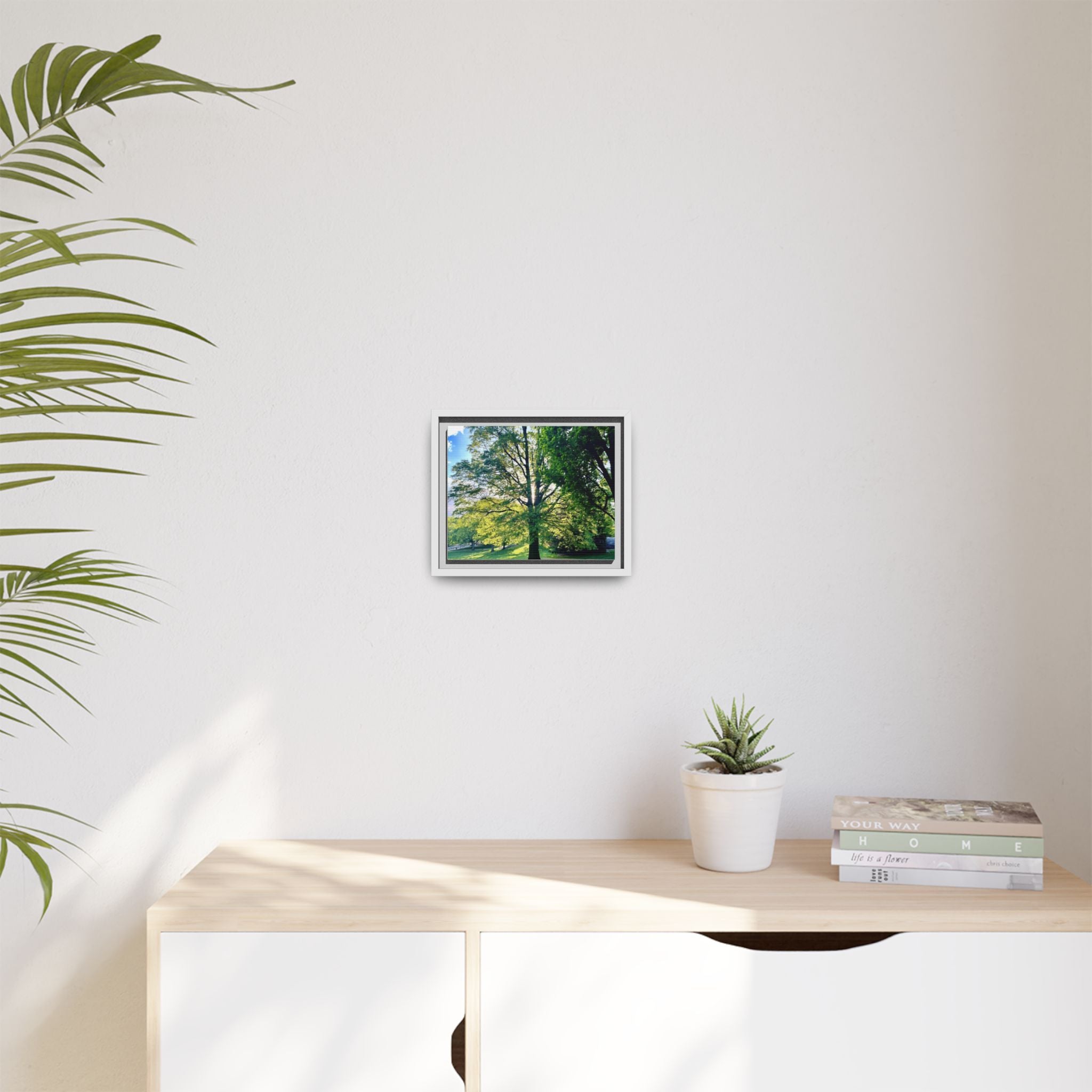 Framed Matte Canvas Wall Art — Sunlit Park Tree Landscape
