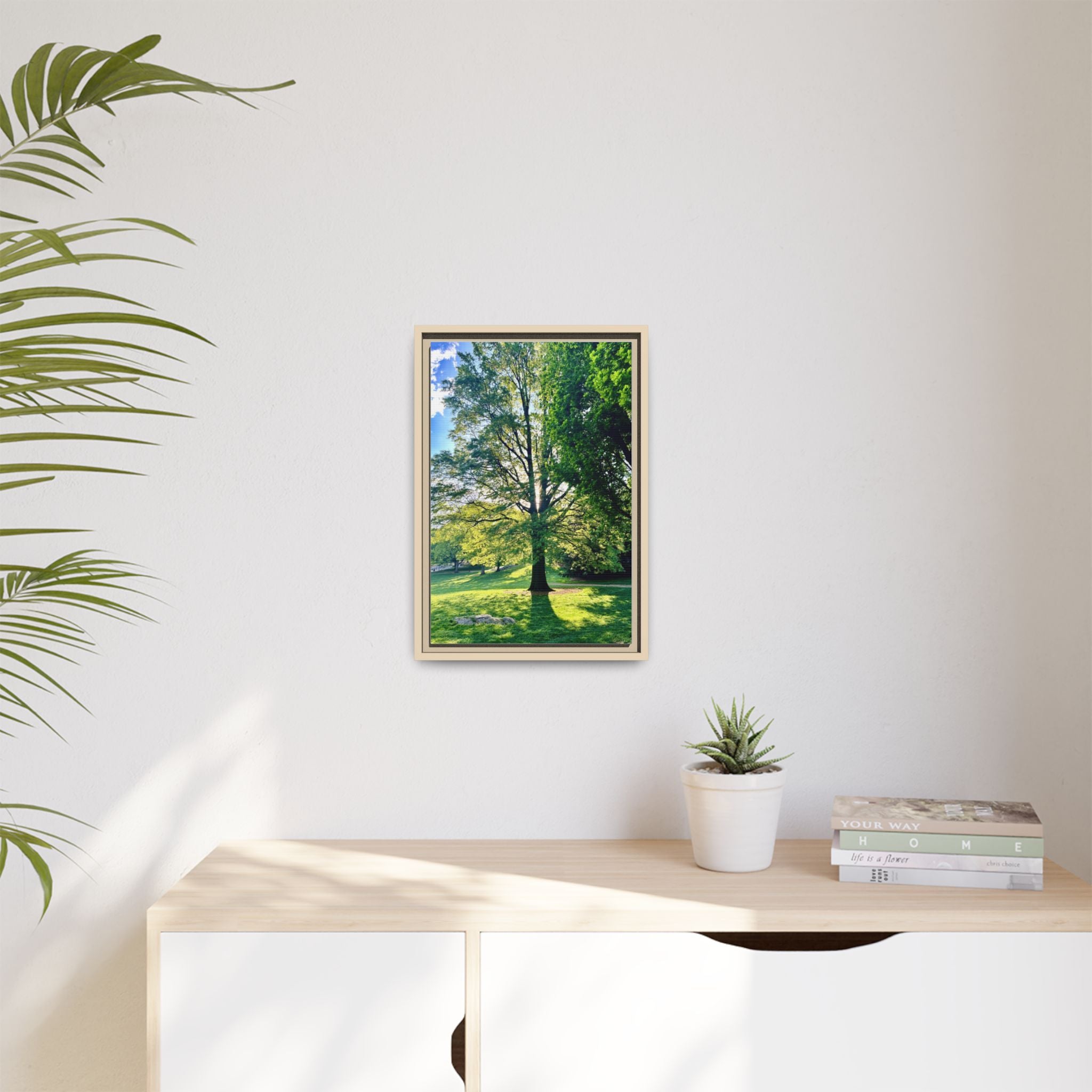 Framed Matte Canvas Print — Sunlit Park Tree Photography